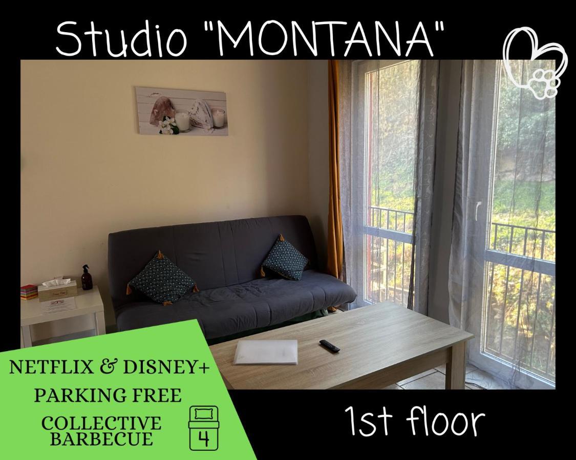 L'Arizona Dinant - Studio Montana - Barbecue, Free Parking, Dog Ok Exteriér fotografie